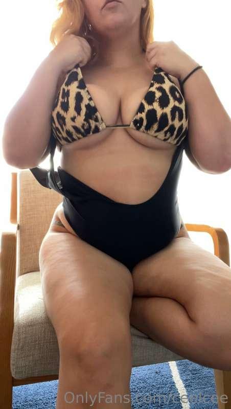 ceelcee image #1