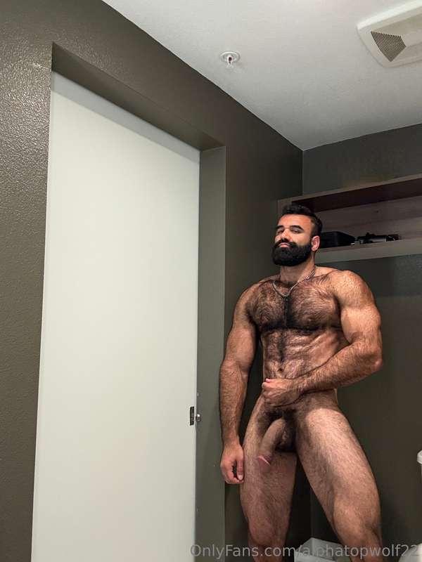 alphatopwolf22 image #1