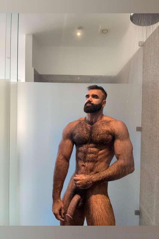 alphatopwolf22 image #0