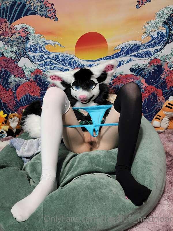 the_fluff_nextdoor image #7
