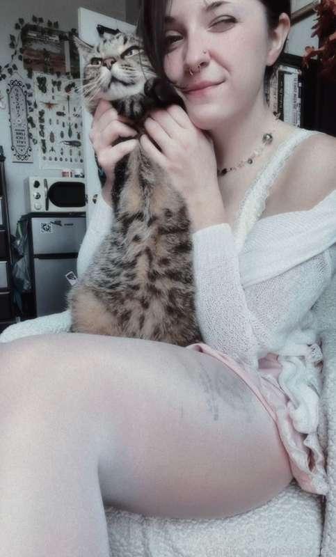 deadpixie image #6