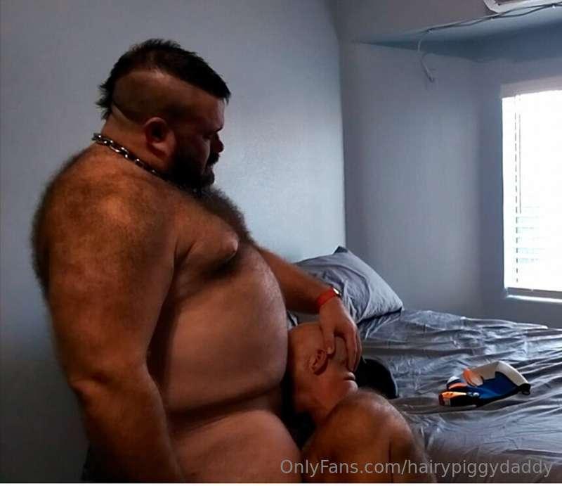 hairypiggydaddy image #0