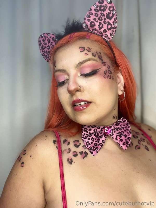 What would you do with this wild feline if she were in front..