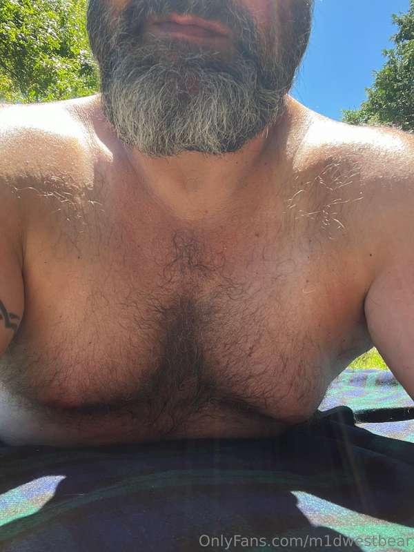 m1dwestbear image #1