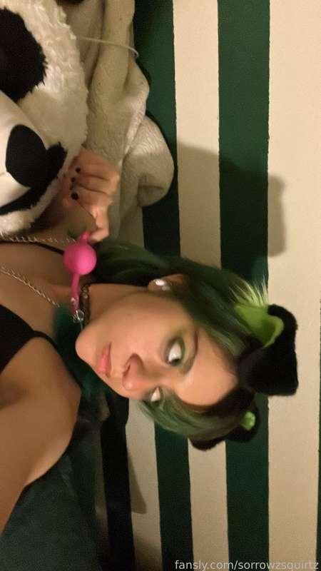 sorrowzsquirtz image #15