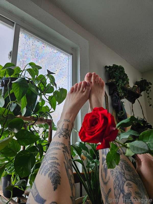 Let me be your one and only valetine this year 🌹