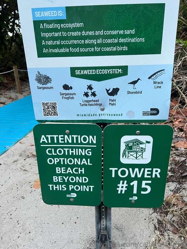 Found the perfect nude beach in Miami 🌴😜🌊