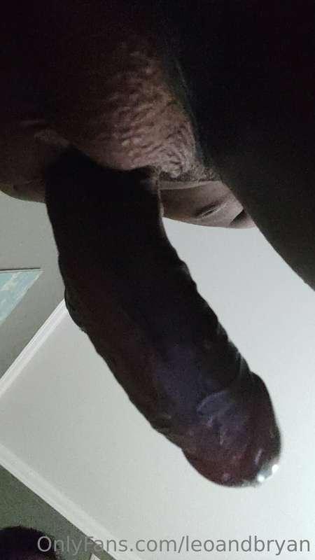 leoandbryan image #5