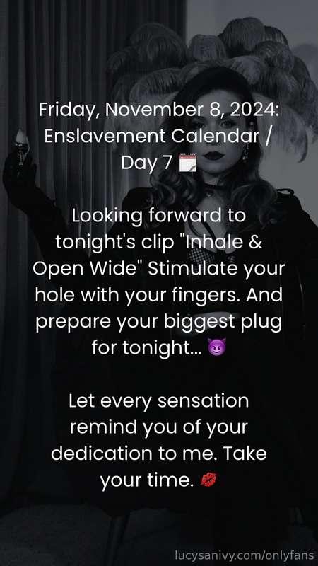 Vendredi 8 novembre 2024 : Enslavement Calendar / Jour 7 🗓️...