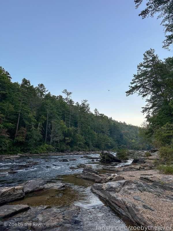 zoebytheriver image #11
