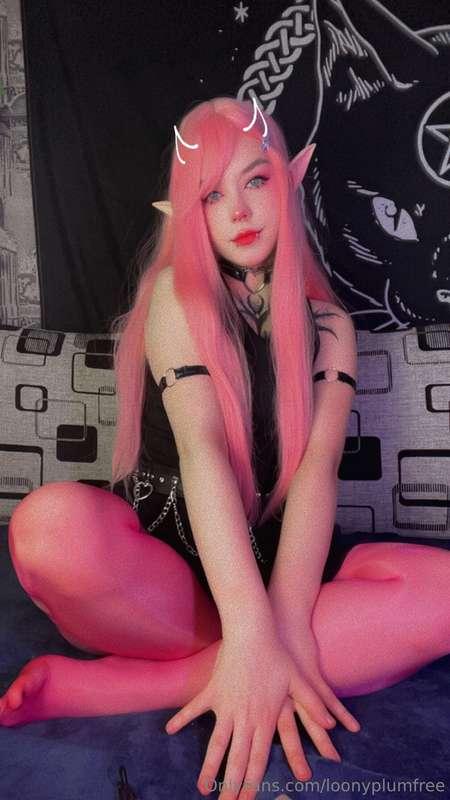 loonyplumfree image #0