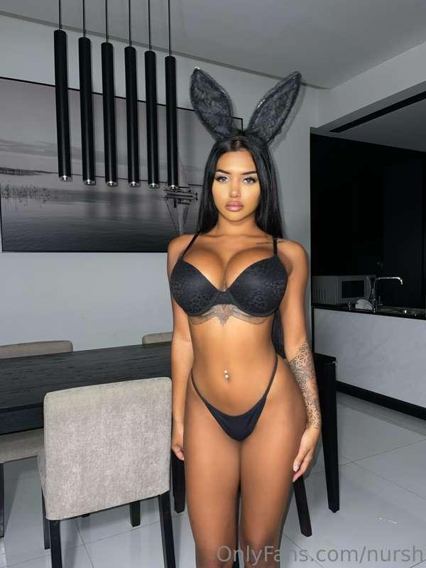 Bad bunny