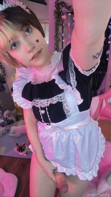 indigowhite image #16