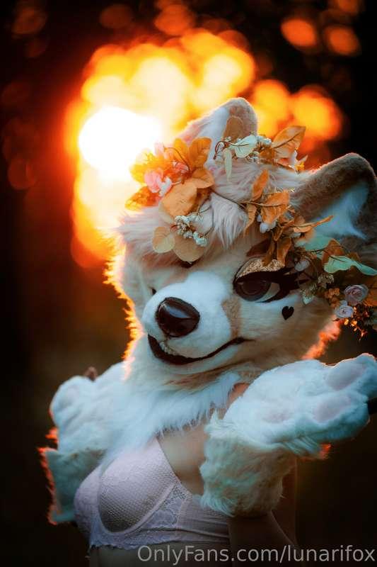 lunarifox image #6