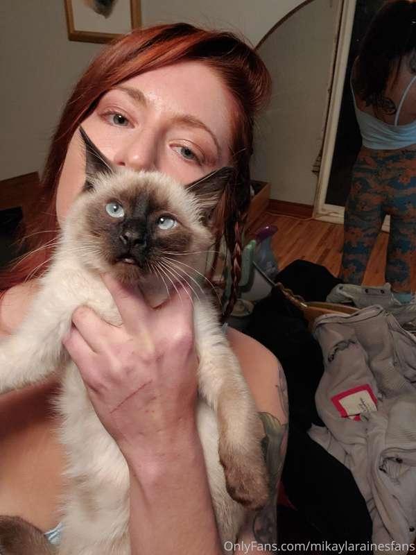 My youngest pussy-cat Leo
