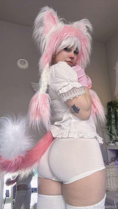 indigowhite image #134