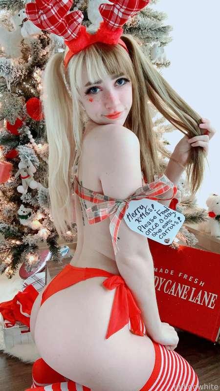 indigowhite image #119