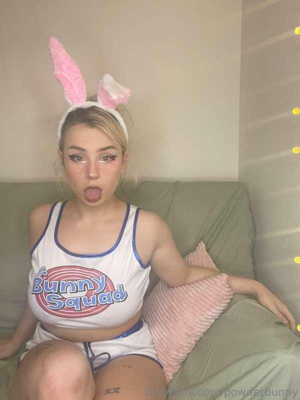 🐰