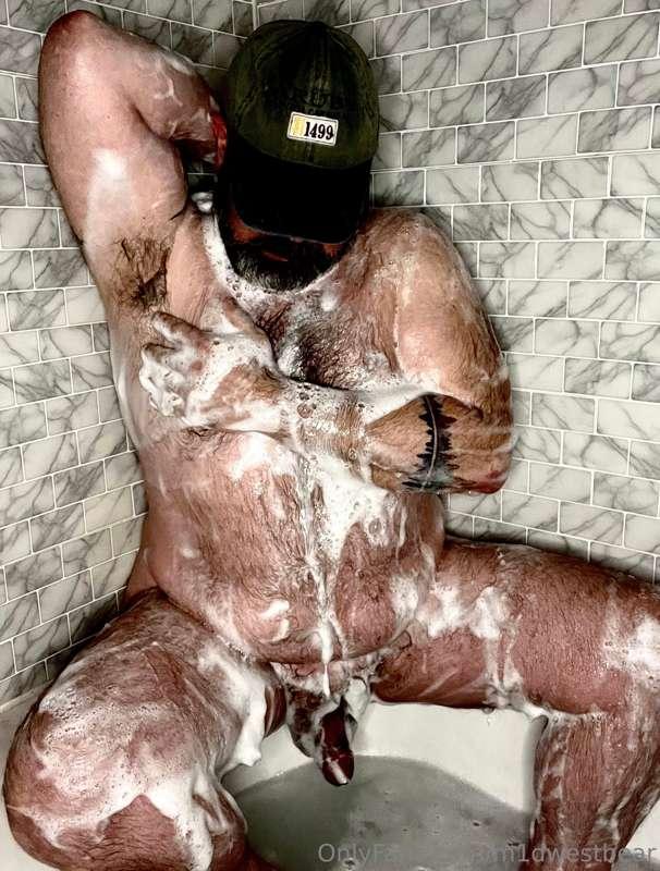 m1dwestbear image #2