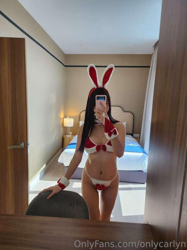 🐰