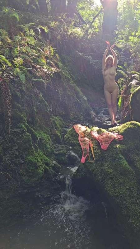 Forest Nymph - The Pleasing