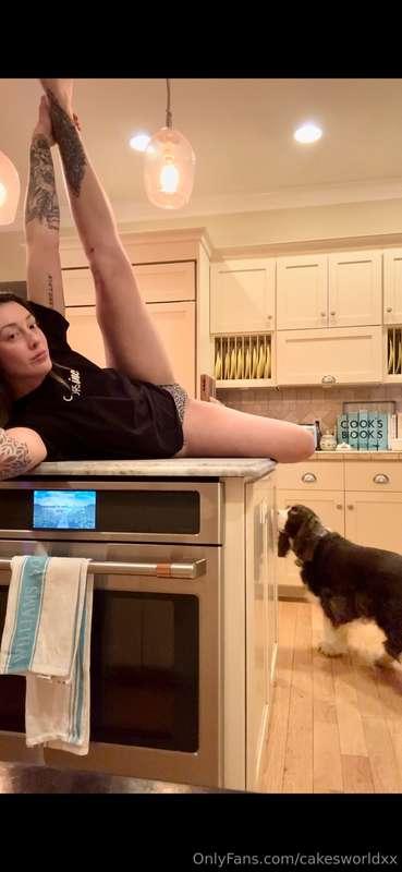 Daddy long legs serving up 🐱 in da kitchen. Reggie is concer..