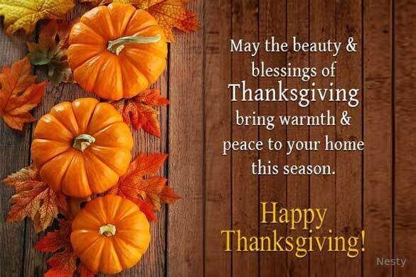 Happy Thanksgiving to All my followers! 🦃💗🦃💗🦃