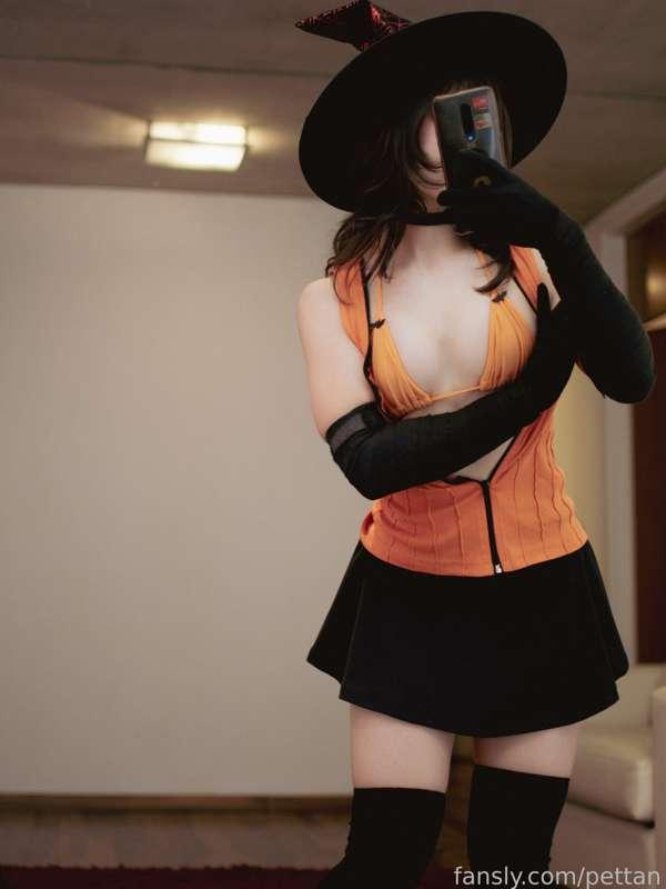 pettan image #5