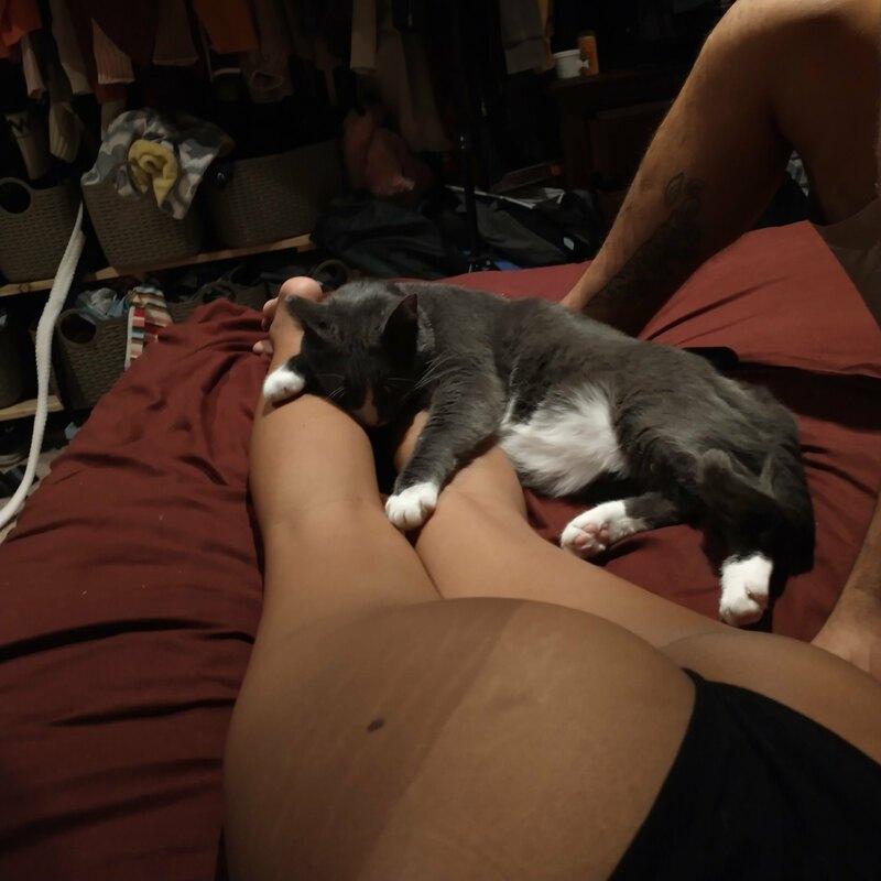 ass & pussy