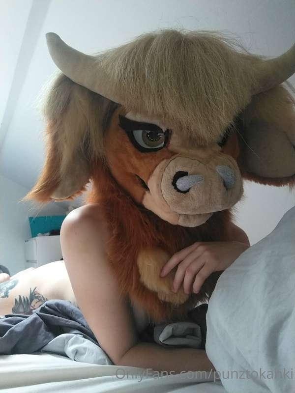 Good Morning everyone ✨ Who want to join me in bed ?