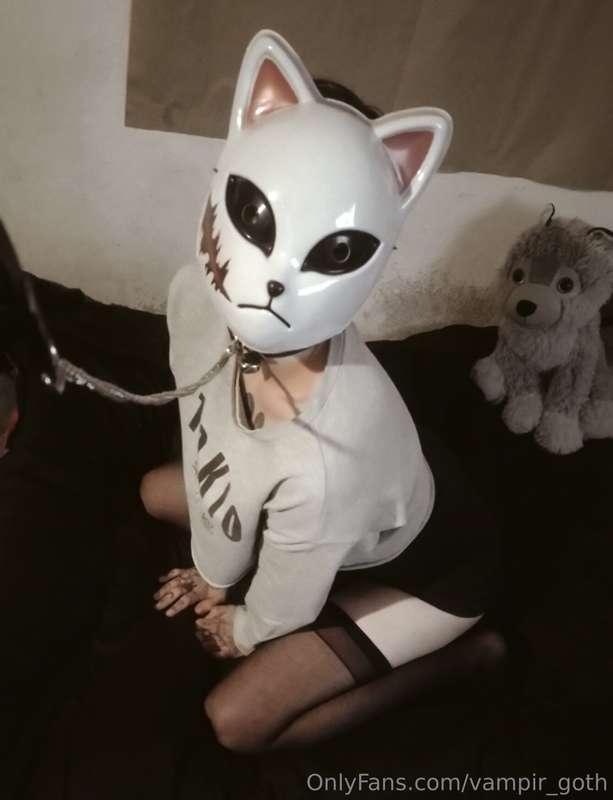 Kitten with a leash, what else you need?