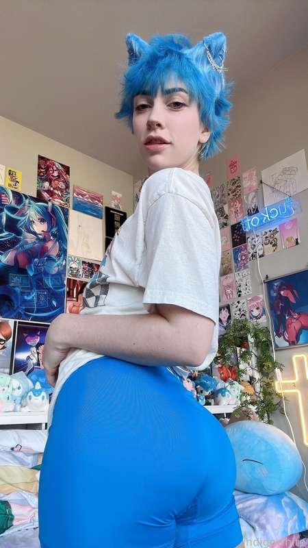 indigowhite image #53