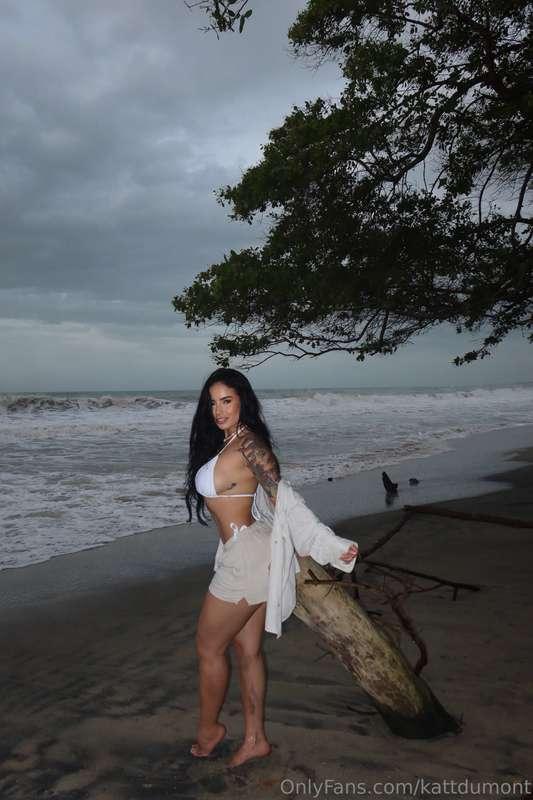 kattdumont image #1