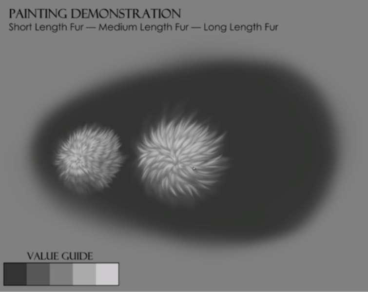 PAINTING DEMO - Short & Medium Length Fur