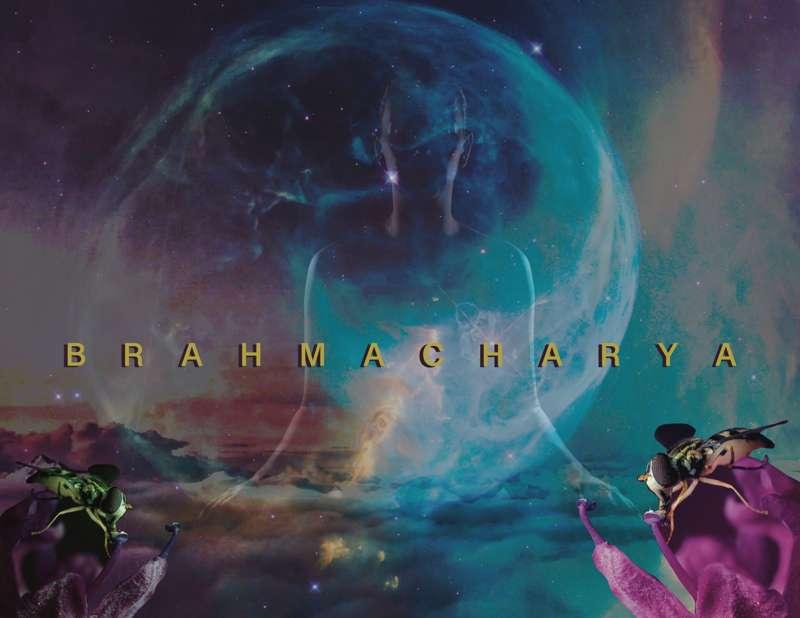 The Fourth Yama, Brahmacharya 