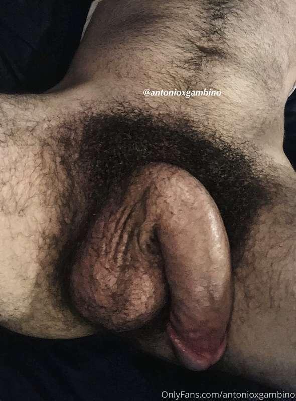 Ain’t nobody got a bush like me