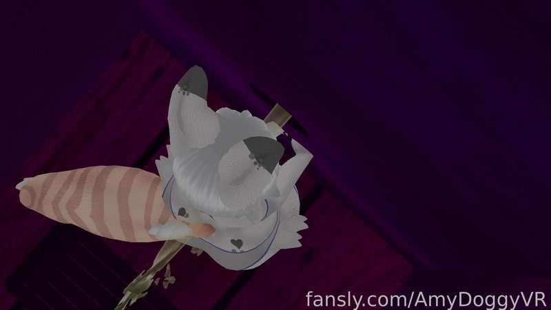 amydoggyvr image #4