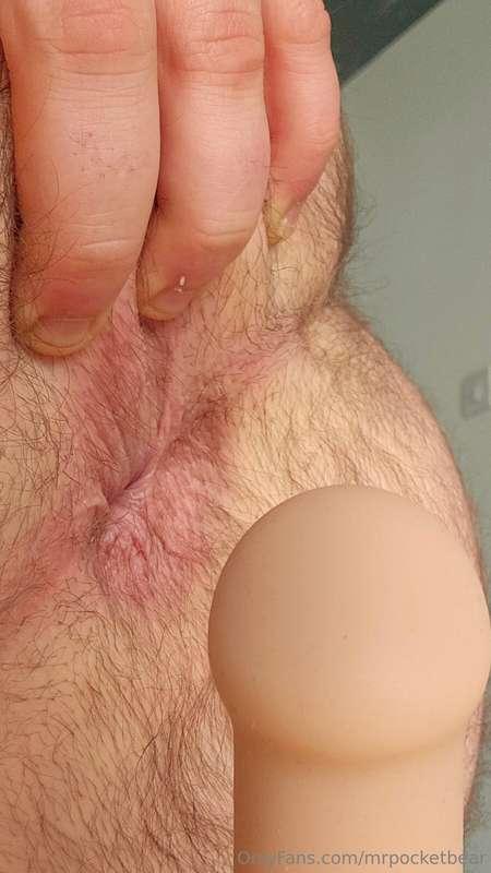 mrpocketbear image #13