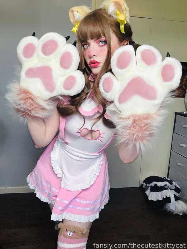 thecutestkittycat image #9