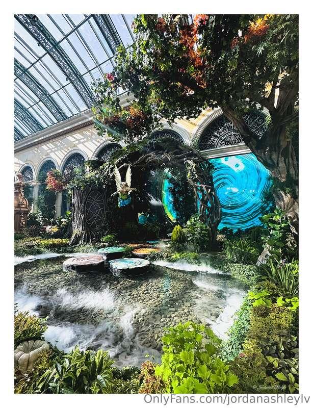 jordanashleylv image #10