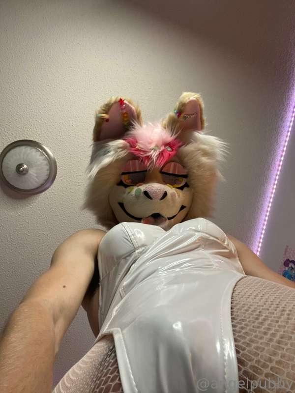 Just got done recording a LOT of new content~ full vids, new..