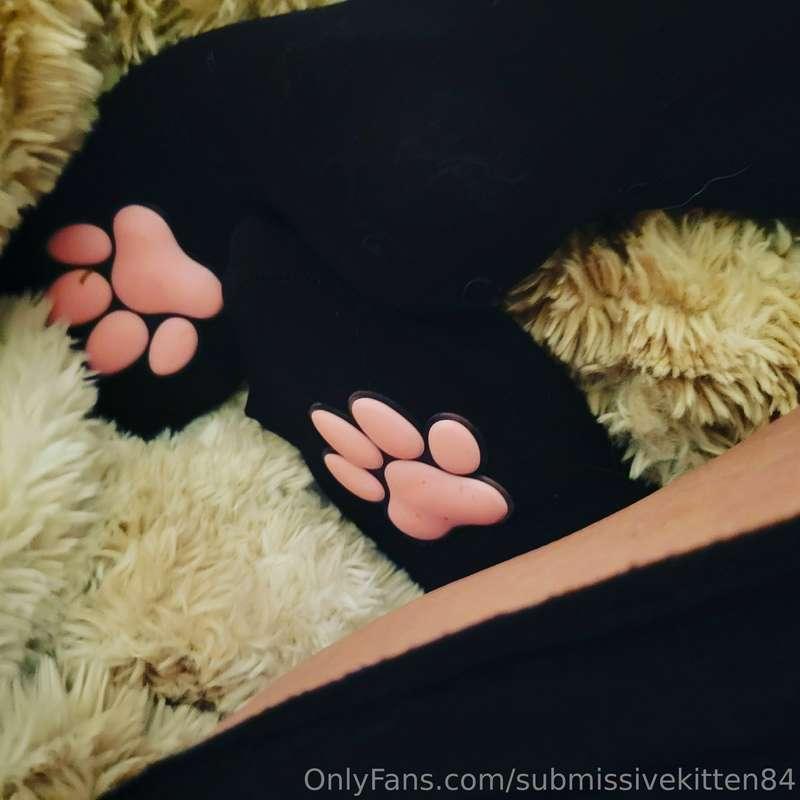 submissivekitten84 image #9