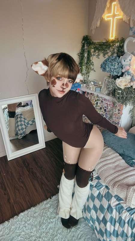 indigowhite image #130