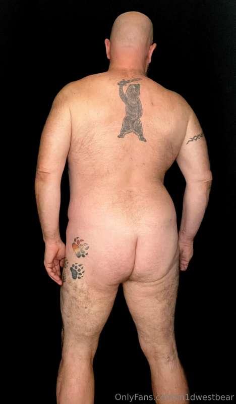 m1dwestbear image #3