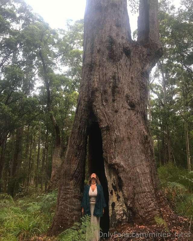 Under this mighty tree, I feel part of something bigger. Nat..