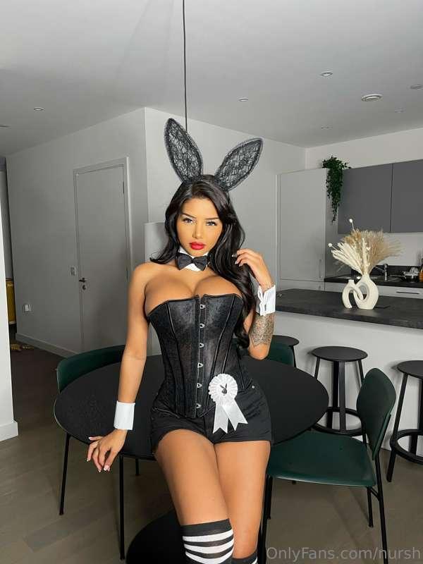 Bad bunny