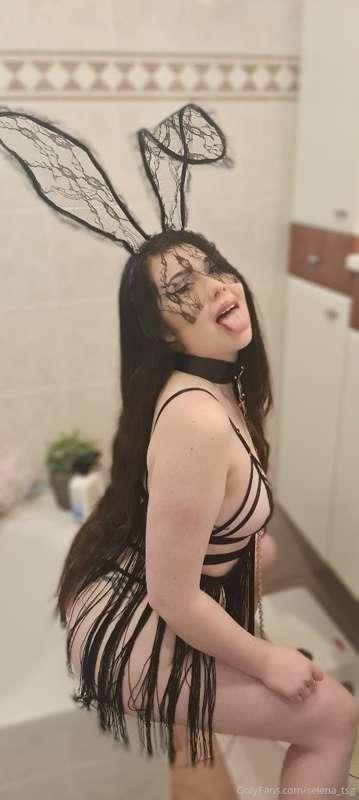 Your favourite bunny 😛🐇