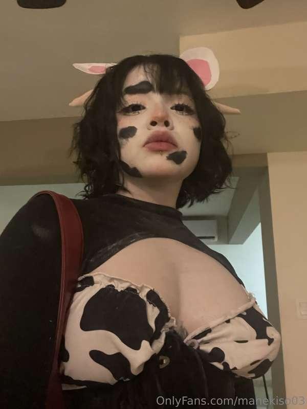 bitch i'm a cow 🎶