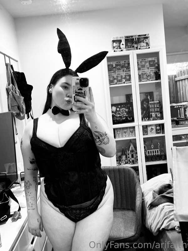 🐰🐰