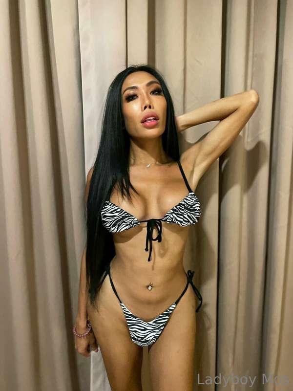 Arrange a safari hunt for a wild zebra 🌴🦓🔫🧔
I won't resist m..